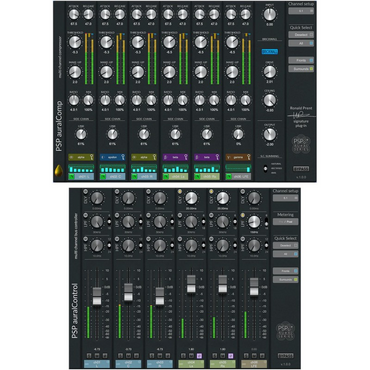 PSP auralBundle | PSP AUDIOWARE