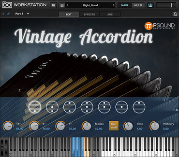 Vintage Accordion